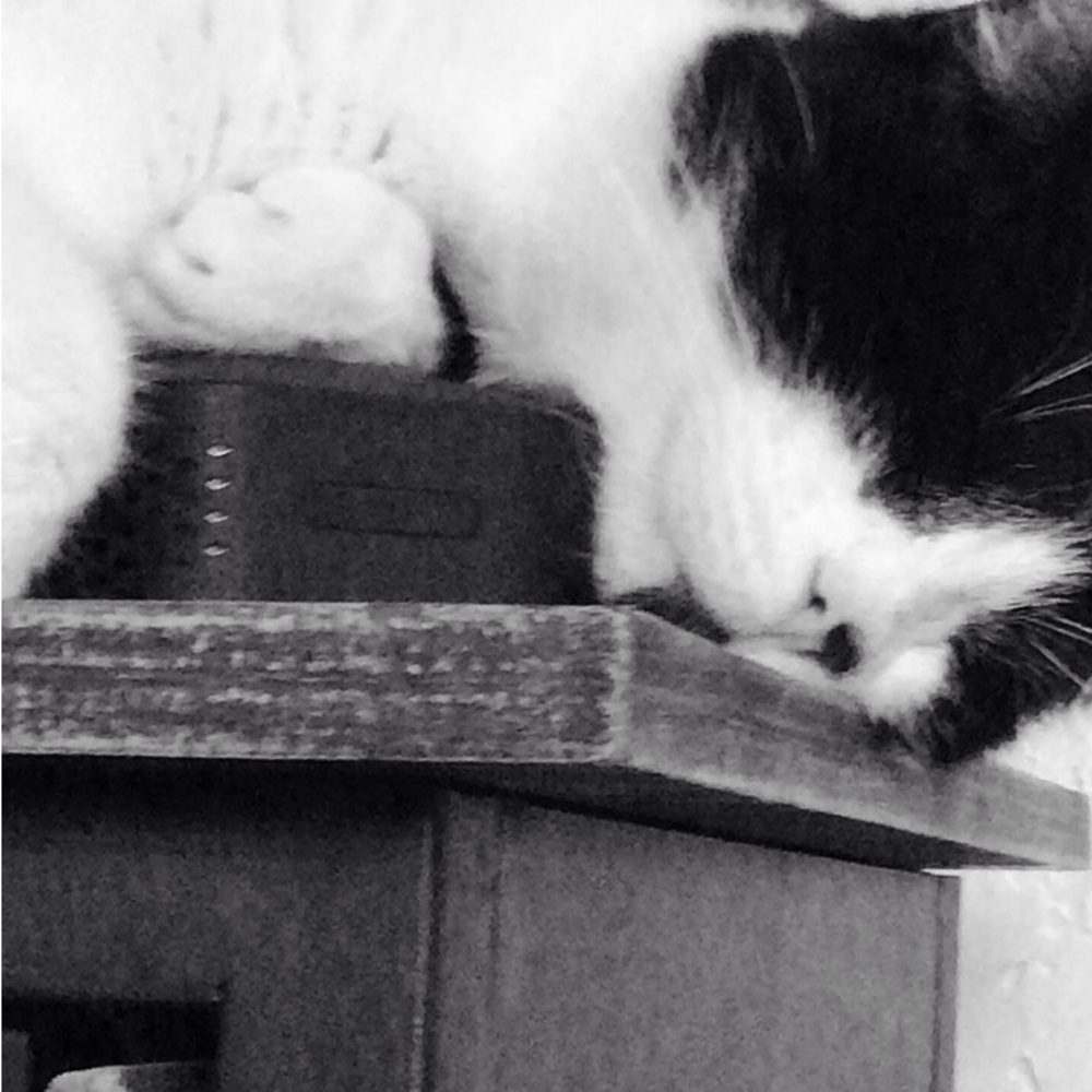 Meet your Posher, Eliza